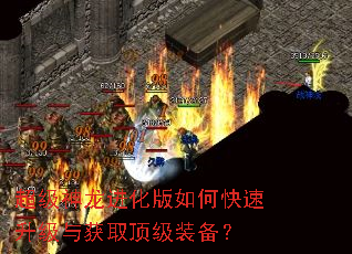 超级神龙进化版如何快速升级与获取顶级装备? 超级神龙进化版如何快速升级与获取顶级装备?