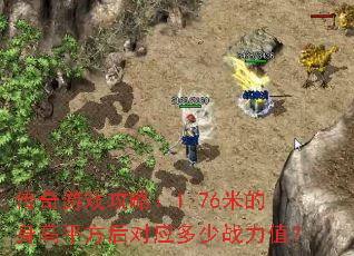 传奇游戏攻略:1.76米的身高平方后对应多少战力值? 传奇游戏攻略:1.76米的身高平方后对应多少战力值?