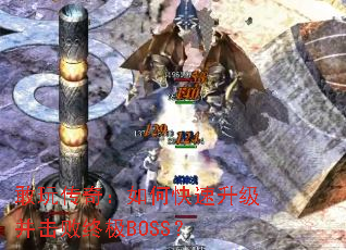 敢玩传奇:如何快速升级并击败终极BOSS? 敢玩传奇:如何快速升级并击败终极BOSS?