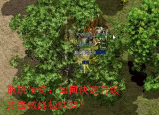 敢玩传奇:如何快速升级并击败终极BOSS? 敢玩传奇:如何快速升级并击败终极BOSS?