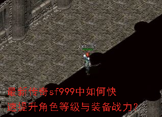 ���´���sf999����ο���������ɫ�ȼ���װ��ս����