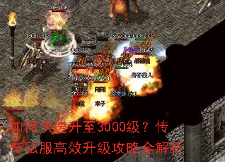 ��ο�������3000��������˽����Ч��������ȫ����