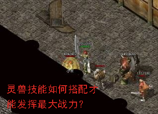 灵兽技能如何搭配才能发挥最大战力? 灵兽技能如何搭配才能发挥最大战力?
