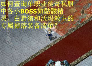 如何查询单职业传奇私服中各小BOSS如骷髅精灵、白野猪和沃玛教主的专属掉落装备清单？