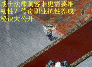 战士法师刺客谁更需要堆韧性？传奇职业抗性养成秘诀大公开