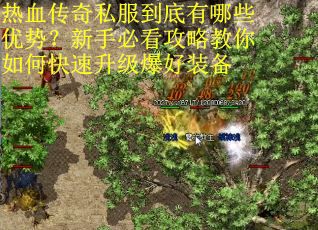 热血传奇私服到底有哪些优势？新手必看攻略教你如何快速升级爆好装备