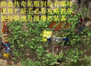 热血传奇私服到底有哪些优势？新手必看攻略教你如何快速升级爆好装备