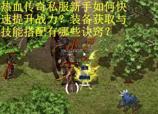 热血传奇私服新手如何快速提升战力？装备获取与技能搭配有哪些诀窍？