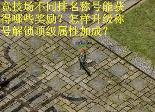 竞技场不同排名称号能获得哪些奖励？怎样升级称号解锁顶级属性加成？