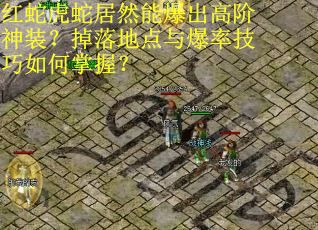 红蛇虎蛇居然能爆出高阶神装？掉落地点与爆率技巧如何掌握？