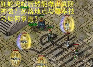 红蛇虎蛇居然能爆出高阶神装？掉落地点与爆率技巧如何掌握？