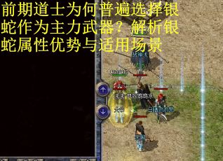 前期道士为何普遍选择银蛇作为主力武器？解析银蛇属性优势与适用场景