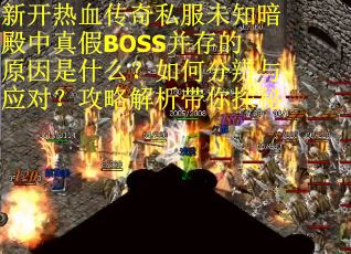 新开热血传奇私服未知暗殿中真假BOSS并存的原因是什么？如何分辨与应对？攻略解析带你探秘