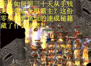新手如何用三十天从手残党逆袭成全服霸主？这份零基础到高玩的速成秘籍藏了什么诀窍？
