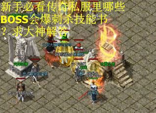 新手必看传奇私服里哪些BOSS会爆刺杀技能书？求大神解答