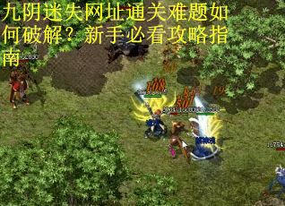 九阴迷失网址通关难题如何破解？新手必看攻略指南