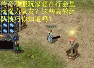 传奇私服玩家想在行会里找强力队友？这些高效组队技巧你知道吗？