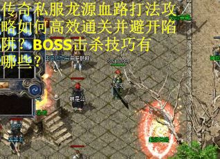 传奇私服龙源血路打法攻略如何高效通关并避开陷阱？BOSS击杀技巧有哪些？