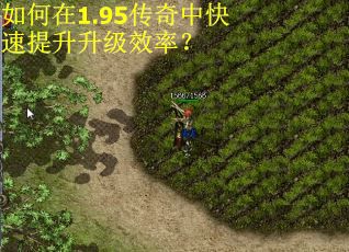 如何在1.95传奇中快速提升升级效率？