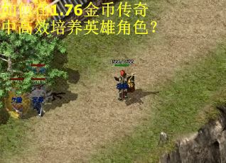 如何在1.76金币传奇中高效培养英雄角色？