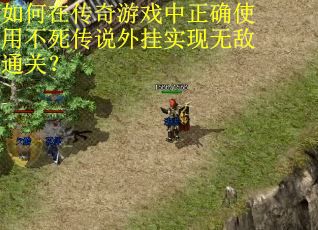 如何在传奇游戏中正确使用不死传说外挂实现无敌通关？