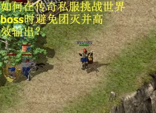 如何在传奇私服挑战世界boss时避免团灭并高效输出？
