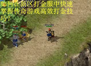 如何在新区打金服中快速掌握传奇游戏高效打金技巧？