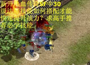 新开热血传奇SF中30级法师技能如何搭配才能快速提升战力？求高手推荐必学技能