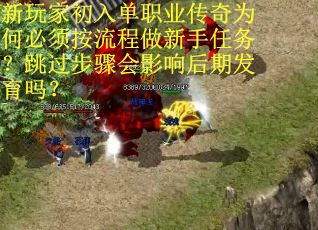 新玩家初入单职业传奇为何必须按流程做新手任务？跳过步骤会影响后期发育吗？