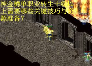 神金樽单职业转生十级以上需要哪些关键技巧与资源准备？